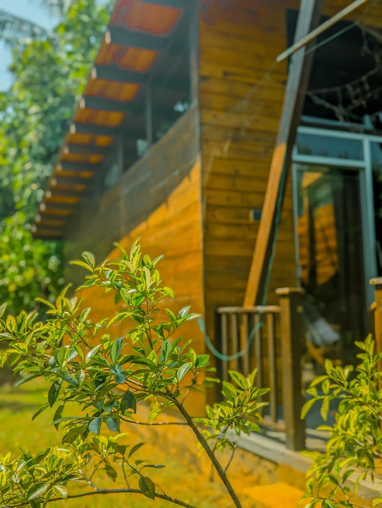 Southern Edge Cabanas แทนกาลเล ภายนอก รูปภาพ